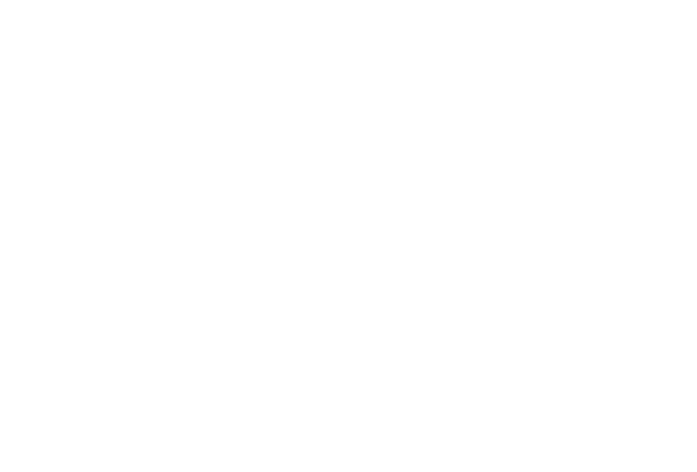Nakielny & Wentzl logo pion WHITE